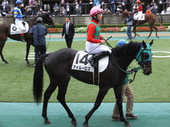20151123 東京1R 2歳未勝利 アイルーロス 07