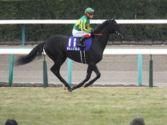 20141228 中山10R 有馬記念 サトノノブレス 08