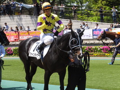 20150426 東京6R 3歳500万下 ファインライナー 10