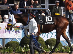 20170226 中山9R 富里特別4上(500) トーセンカナロア 03