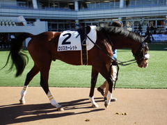 20171228 中山3R 2歳未勝利 ロジスカーレット 04