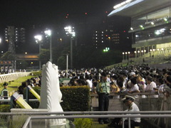20140730 大井競馬場 人大杉