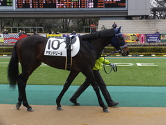20160130 東京4R 3歳未勝利 アタンドリール 08