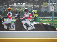 20180218 東京2R 3歳未勝利 ダノンシャレード 20