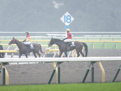 20141012 東京10R レジェンドTC オウケンブラック 13