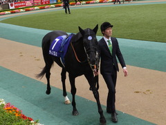 20161030 東京11R 天皇賞・秋(G1) サトノノブレス 15