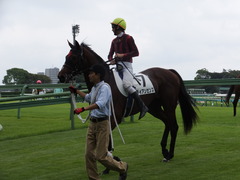 20130907ライアンセンス15