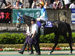 20140511 東京11R NHKマイルカップ(G1)アドマイヤビジン16