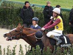 20150321 中山10R 韓国馬事会杯 ランドマーキュリー 10