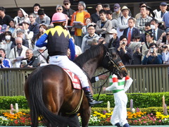 20160430 東京11R 青葉賞(G2) プロディガルサン 13