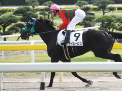20161016 新潟4R (牝500) アイルーロス 14