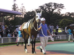 20160518 大井9R アイラブ大井賞 3歳 サンドプラチナ 05