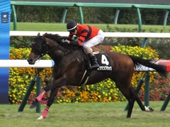 20170930 中山10R 習志野特別(1000) オウケンブラック 18