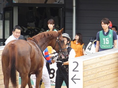 20150919 中山3R 2歳未勝利 アートラヴァー 18