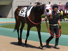 20170617 東京1R 2歳未勝利 サラート 10