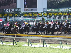 20150131 東京2R 3歳未勝利 コスモポッポ 13