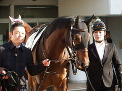 20171216 中山2R 2歳牝馬未勝利 ルフィーナ 04