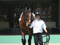 20140614 東京3R ダノンジャガー 03