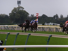 201301109 東京 ライアンセンス 11