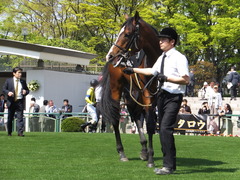 20150425 京都9R 比良山特別 ビップレボルシオン 11