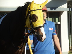 20181115 大井2R 2歳新馬 ラッキーナッキー 11