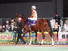 20181205 大井11R 勝島王冠(S2) ユーロビート 16