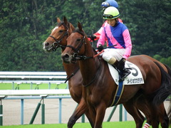 20171014 京都3R 2歳未勝利 メイショウカラタチ 11