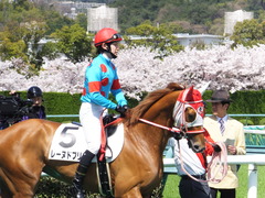 20150404 阪神4R 3歳未勝利 レーヌドブリエ 13