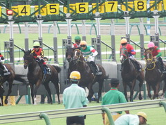 20180917 中山9R 白井特別(1000) ラッシュアタック 16