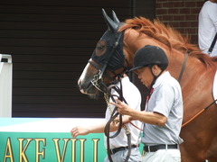 20180722 函館5R 2歳メイクデビュー クラサーヴィツァ 08