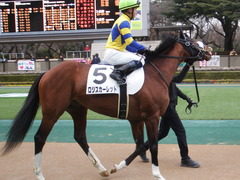 20190210 東京12R (1000) ロジスカーレット 17
