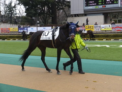 20160130 東京4R 3歳未勝利 アタンドリール 07