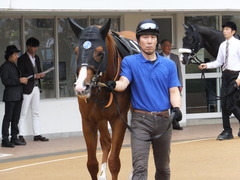 20161001 中山10R 習志野特別 アッシュゴールド 08