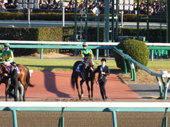 20161225 中山12R 有馬記念(G1) サトノノブレス 05