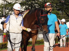 20161012 大井2R 3歳95万下 マルカンヒラリー 05