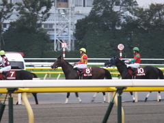 20131109 東京 モーリス 14