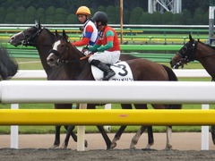 20170625 東京1R 3歳牝馬未勝利 プンメリン 30