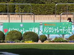 20140316 中山6R ショウナンラグーン 01