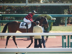 20180106 中山4R 4歳上500万下 メガポリゴン 16