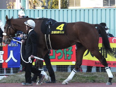 20161215 名古屋11R 名古屋GP(Jpn2) ユーロビート 12