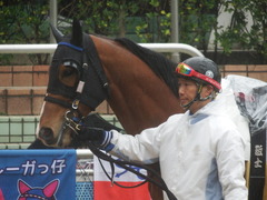 20190303 中山6R 3歳未勝利 ストレートパンチ 07