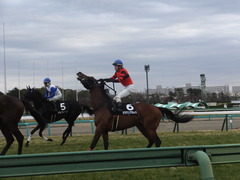 20140126 中山9R オウケンブラック 12