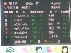 20180304 中山5R 3歳牝馬未勝利 プラチナベール 01