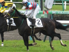 20170408 中山5R 3歳未勝利 ジュンマシュウ 20
