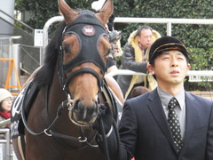 20140126 中山9R オウケンブラック 04