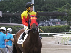 20170524 大井8R B2 マイネルグルマン 16