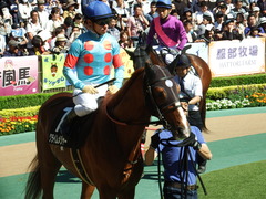 20180520 東京10R フリーウェイS(1600) クライムメジャー 20