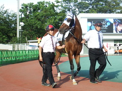 20180814 大井5R ミッドサマー賞 B1B2 プエルト 04
