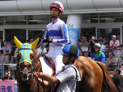 20160910 中山4R 3歳上障害未勝利 ワイルドジーク 07