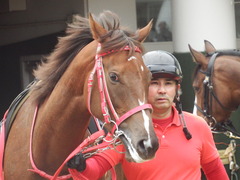 20190310 中山11R アネモネS 3歳牝馬OP オトナノジジョウ 14